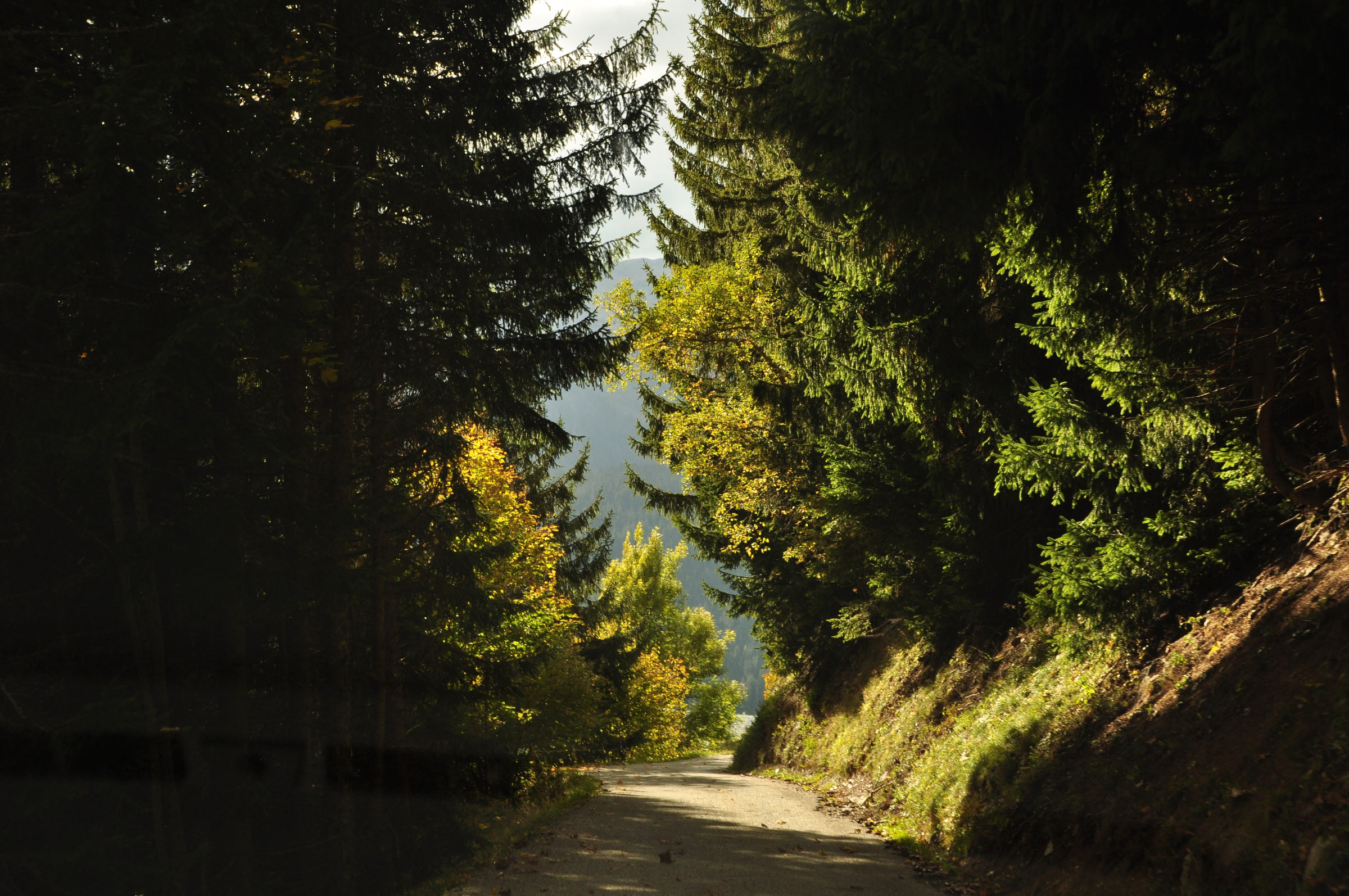 Areches